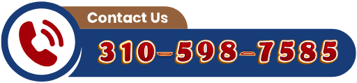 Contact Fothion